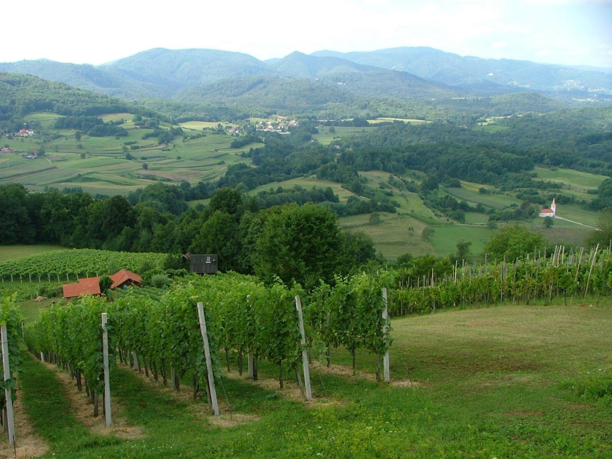 Tourist Farm Pri Martinovih Vila Krška Vas Exterior foto